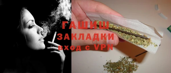 гидра Богородицк