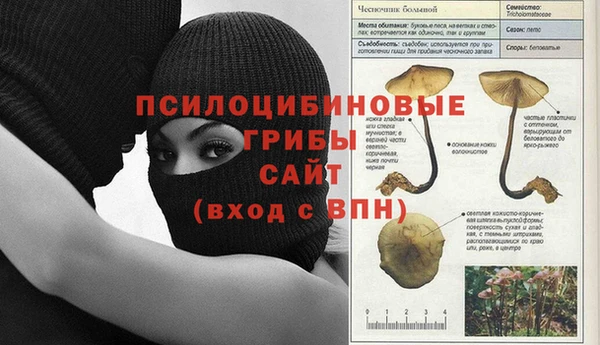 крисы Беломорск