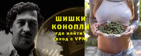 эйфоретик Богданович