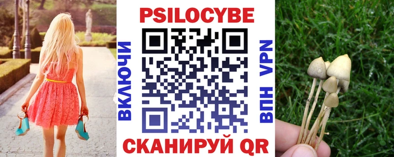 Псилоцибиновые грибы Magic Shrooms  Гаврилов-Ям 